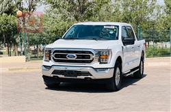 فۆرد F-150